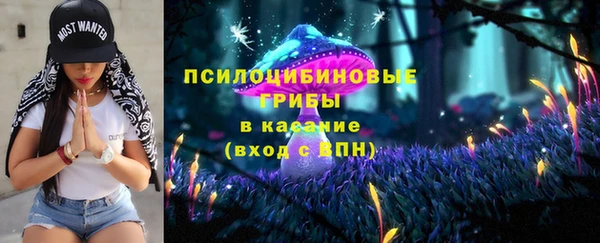 мдма Белокуриха