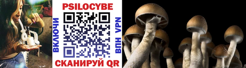 Псилоцибиновые грибы MAGIC MUSHROOMS  Купить закладки  Губаха 